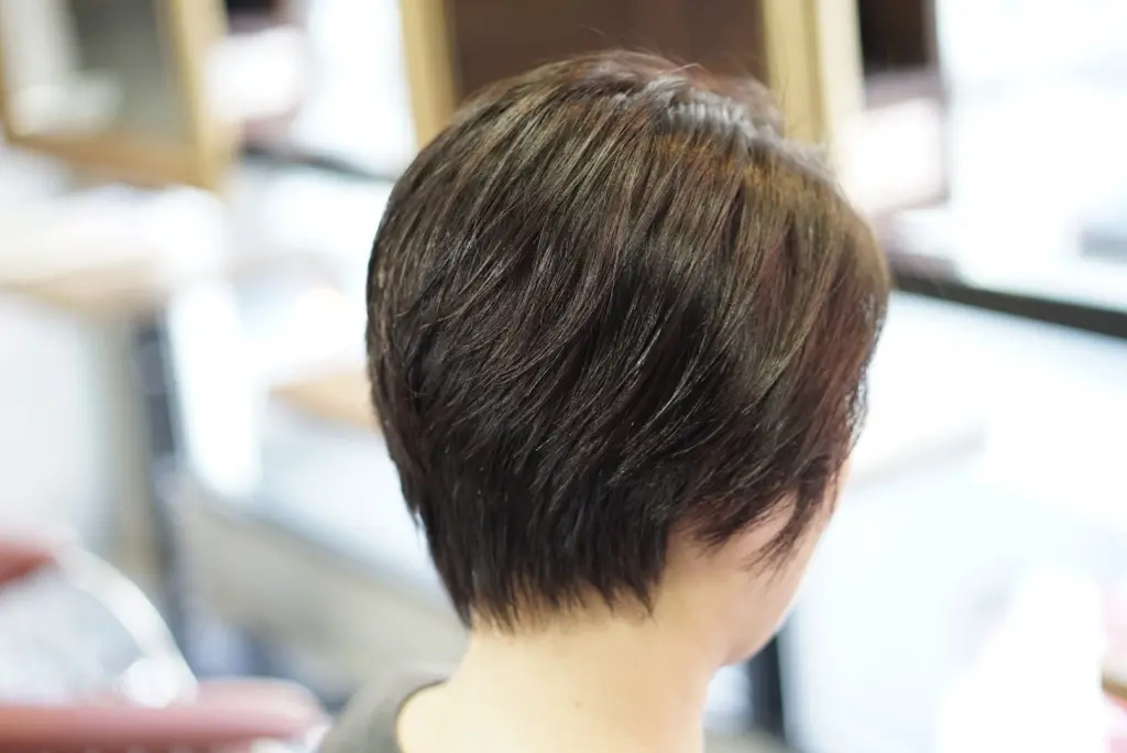 マニッシュショート