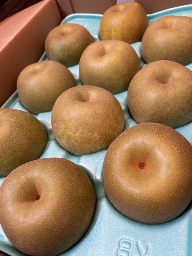 差し入れをいただきました！！